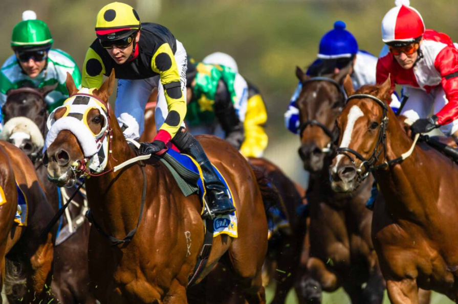 Which Melbourne Horse Racing Tips Should You Follow to Win the Day?